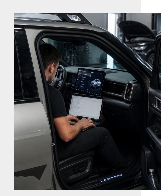 Русификация BYD Leopard 3 в Североуральске по цене от 20499 р. | ФастМобиль-Сву